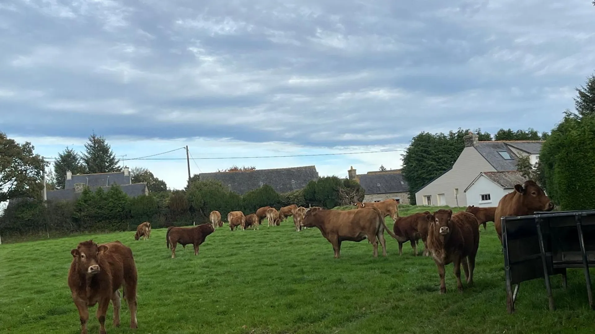 La Maison Du Bonheur Kérien Semesterbostad